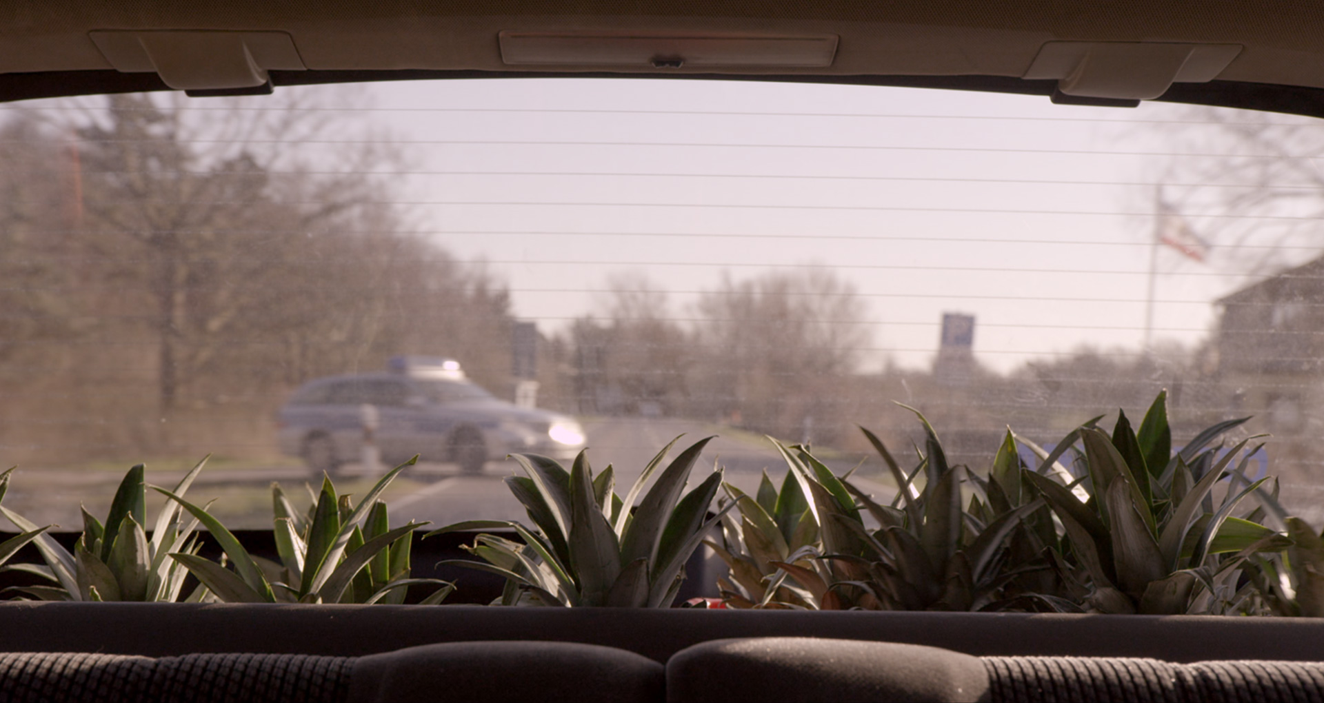 Lovesteaks header image